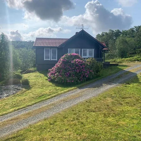 6 Person In Anneland-by Traum * Anneland