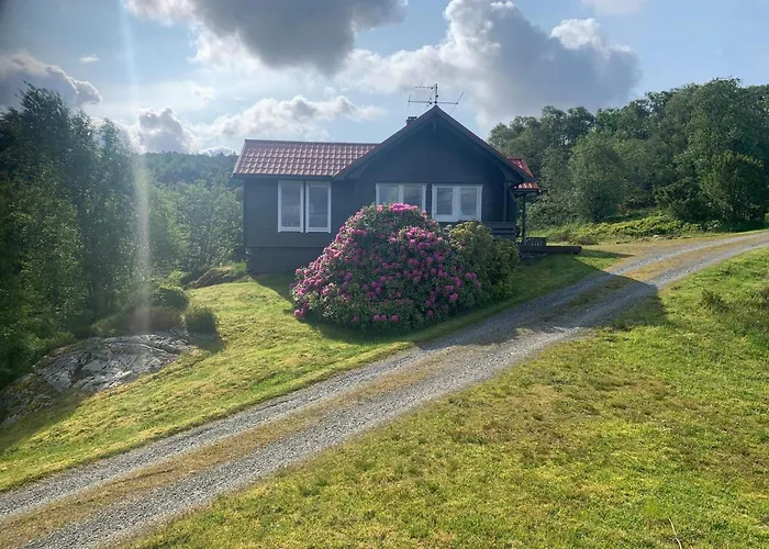 6 Person In Anneland-by Traum * Anneland
